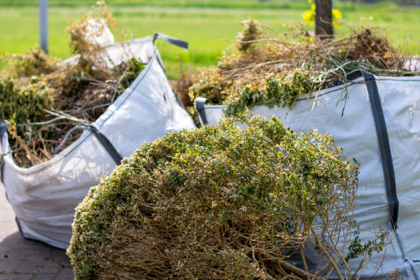 Best Office Junk Removal  in Wilson, NC