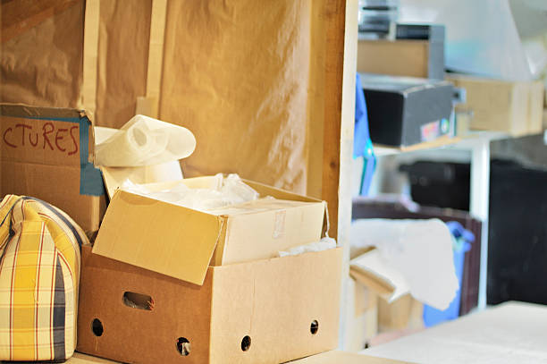 Best Basement Cleanout Services  in Wilson, NC